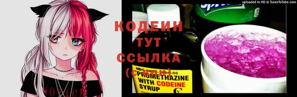Альфа ПВП Ельня