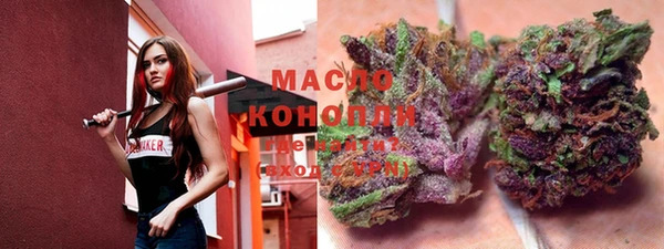 Альфа ПВП Ельня