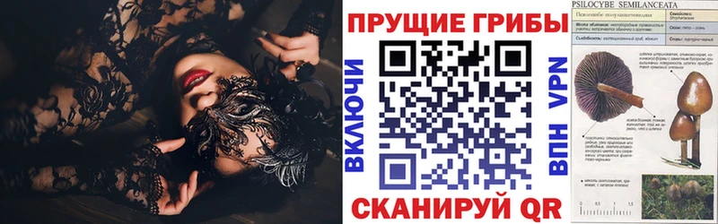 Купить  Когалым  Галлюциногенные грибы GOLDEN TEACHER 