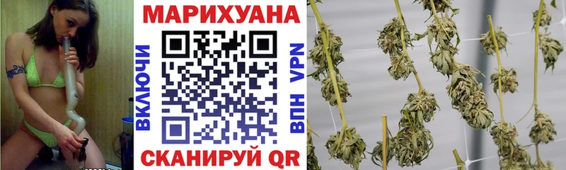 Купить где Когалым Каннабис индика
